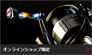�I�����C���V���b�v����J�X�^���n���h��