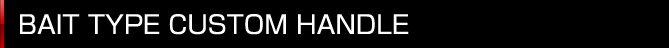 �x�C�g�^�C�v�J�X�^���n���h��